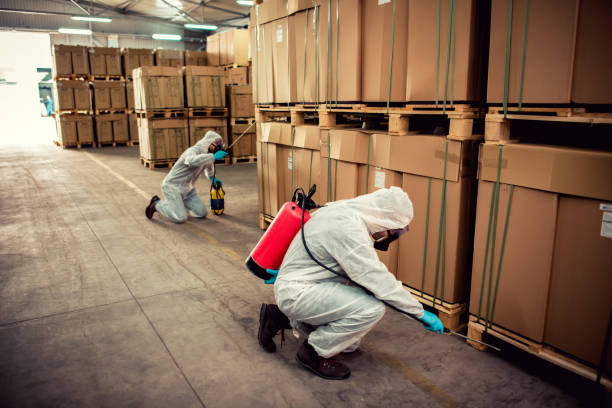 Best Local Pest Control Services  in Lawnton, PA