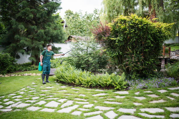 Best Pest Control Treatment  in Lawnton, PA