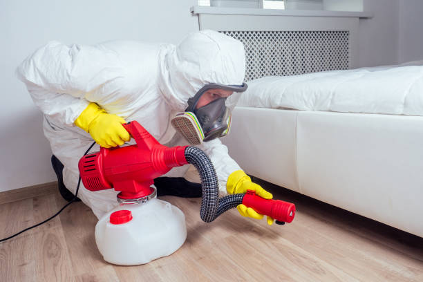 Flea Control Services in Lawnton, PA