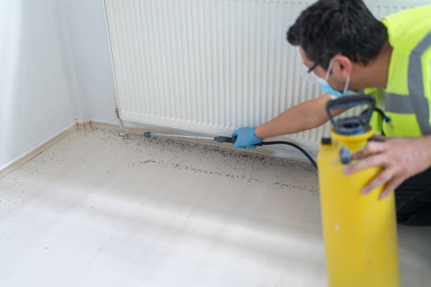 Best Pest Control Near Me  in Lawnton, PA